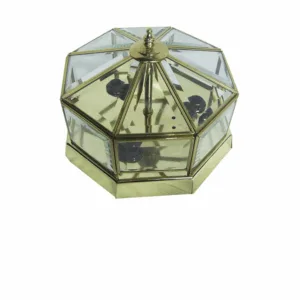 Plafon De Techo